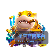 星空官网平台 实时星图服务