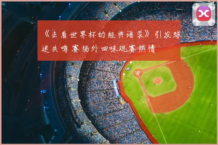 《去看世界杯的经典语录》引发球迷共鸣 赛场外回味观赛热情